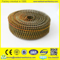 coil roofing nail/coil iron nail/coil nails